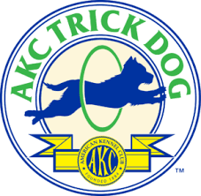 Preparation for the AKC Trick Dog